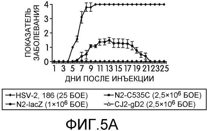 Вакцины против вируса простого герпеса (патент 2575067)