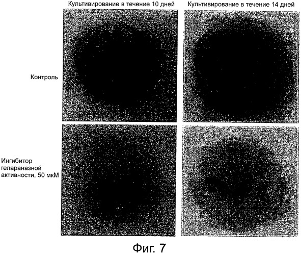 Ингибитор гепараназной активности (патент 2503454)