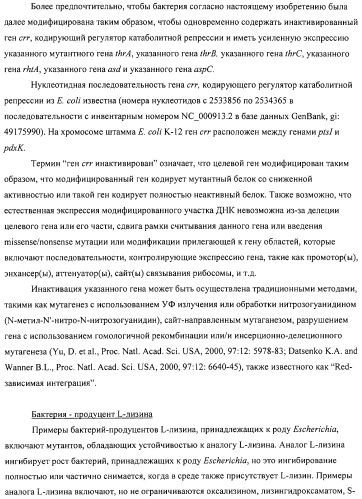 Способ получения l-аминокислот с использованием бактерии, принадлежащей к роду escherichia (патент 2312893)