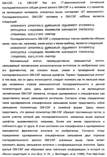 Антитела-нейтрализаторы гранулоцитарно-макрофагального колониестимулирующего фактора человека (патент 2458071)