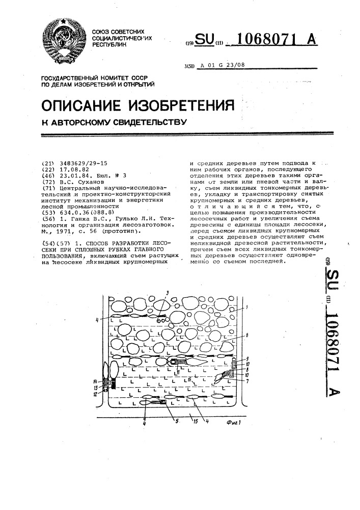 Способ разработки лесосеки при сплошных рубках главного пользования (патент 1068071)