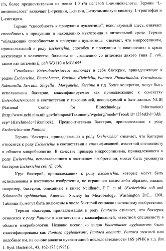 Способ конструирования оперонов, содержащих трансляционно сопряженные гены (патент 2411292)