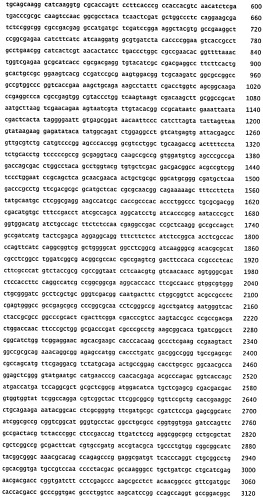 Способ получения метакриловой кислоты или сложных эфиров мeтакриловой кислоты (патент 2491346)