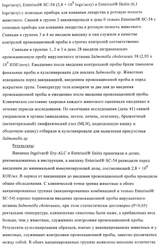 Иммуногенные композиции, содержащие lawsonia intracellularis (патент 2443430)