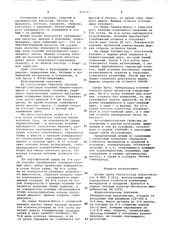 Штамм гриба реniсilliuм оснrо-снlоrоn nвкмf-2032, используемый для определения стойкости полимерных материалов и покрытий (патент 910761)