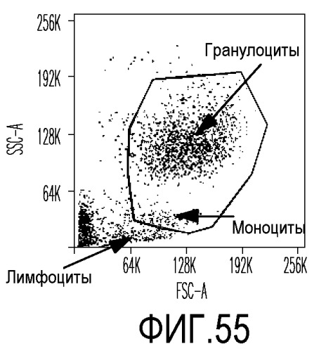 Выделенные популяции миелоподобных клеток и способы лечения с использованием таких популяций (патент 2473686)