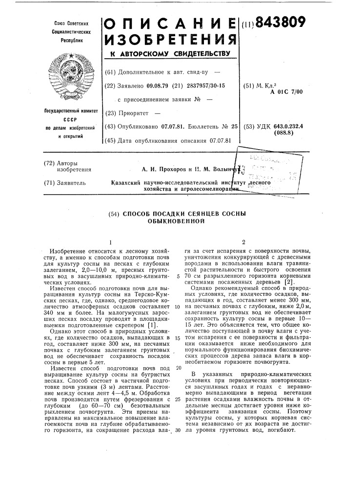 Способ посадки сеянцев сосныобыкновенной (патент 843809)