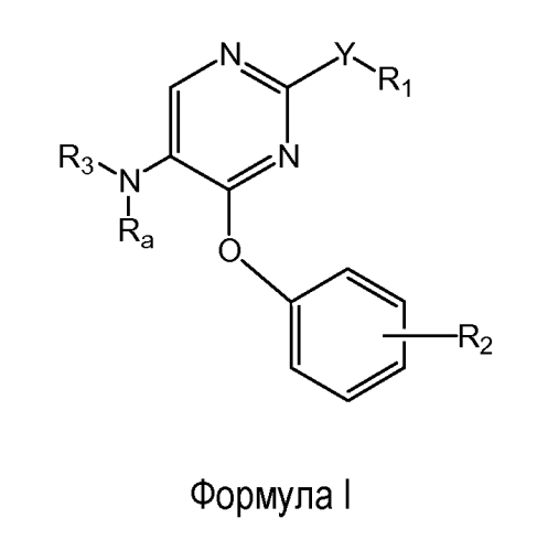 Феноксизамещенные пиримидины для использования в качестве модуляторов опиоидных рецепторов (патент 2554870)