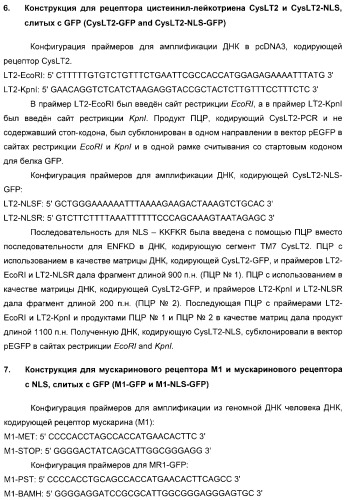Способ идентификации соединений, взаимодействующих с трансмембранными белками (патент 2326166)