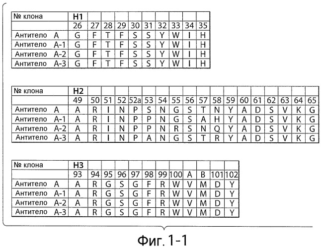 Антитела против nrr notch1 и способы их применения (патент 2476443)