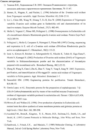 Рекомбинантная днк, кодирующая функционально активный гибридный белок оксидазы d-аминокислот с хитинсвязывающим доменом (daocbd) рекомбинантная плазмида pvr1, обеспечивающая его синтез в клетках escherichia coli, и рекомбинантный штамм escherichia coli с 41(de3)/pvr1 - продуцент daocbd (патент 2310688)