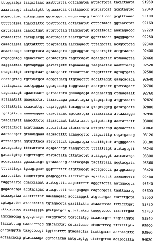 Бактериофаг, обладающий активностью против pseudomonas aeruginosa, белки бактериофага и способы их применения (патент 2580248)