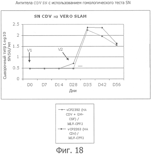 Композиции рекомбинантного cdv и ее применение (патент 2567337)