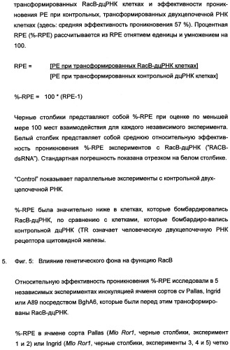 Новые последовательности нуклеиновых кислот и их применение в способах достижения устойчивости к патогенам в растениях (патент 2346985)