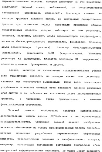 Ее3-семейство белков и соответствующие днк-последовательности (патент 2333918)