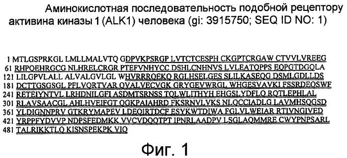 Антагонисты рецептора и лигандов alk1 и их применение (патент 2559532)