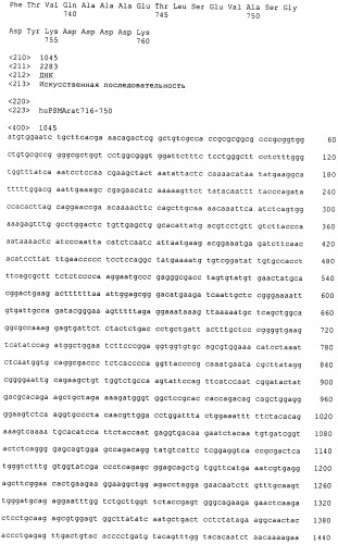 Psma×cd3 биспецифическое одноцепочечное антитело с межвидовой специфичностью (патент 2559531)