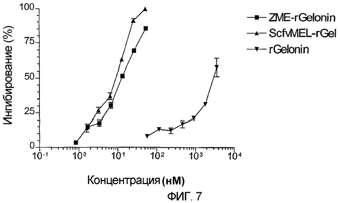 Способ уничтожения злокачественной клетки (патент 2432358)