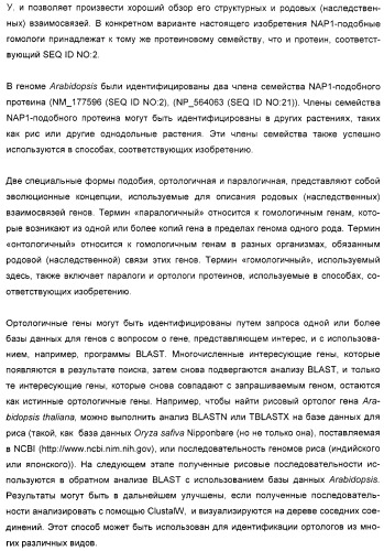 Способ повышения выхода семян растения, способ производства трансгенного растения, имеющего повышенную урожайность семян, генная конструкция для экспрессии в растении и трансгенное растение (патент 2409938)