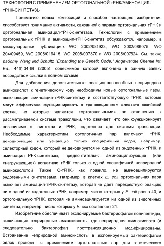 Селективная посттрансляционная модификация экспонируемых фагами полипептидов (патент 2459866)