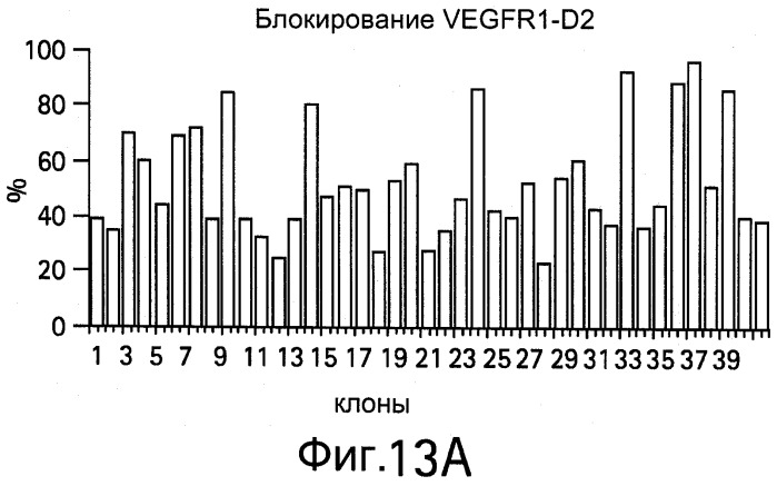 Полиспецифические антитела (патент 2547596)