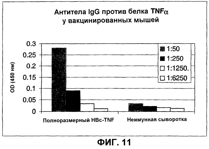 Композиция и способ для иммунизации, способ продуцирования неприродного, упорядоченного и повторяющегося массива антигенов (патент 2294211)