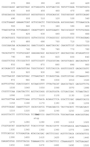 Рекомбинантная плазмида pesat6-cfp10-dbd, рекомбинантный штамм escherichia coli m15 [prep4, pesat6-cfp10-dbd], способ получения, иммобилизации, концентрирования и очистки рекомбинантного белка esat6-cfp10-dbd на декстране, рекомбинантный белок esat6-cfp10-dbd и иммуногенная композиция, содержащая белок esat6-cfp10-dbd (патент 2539026)