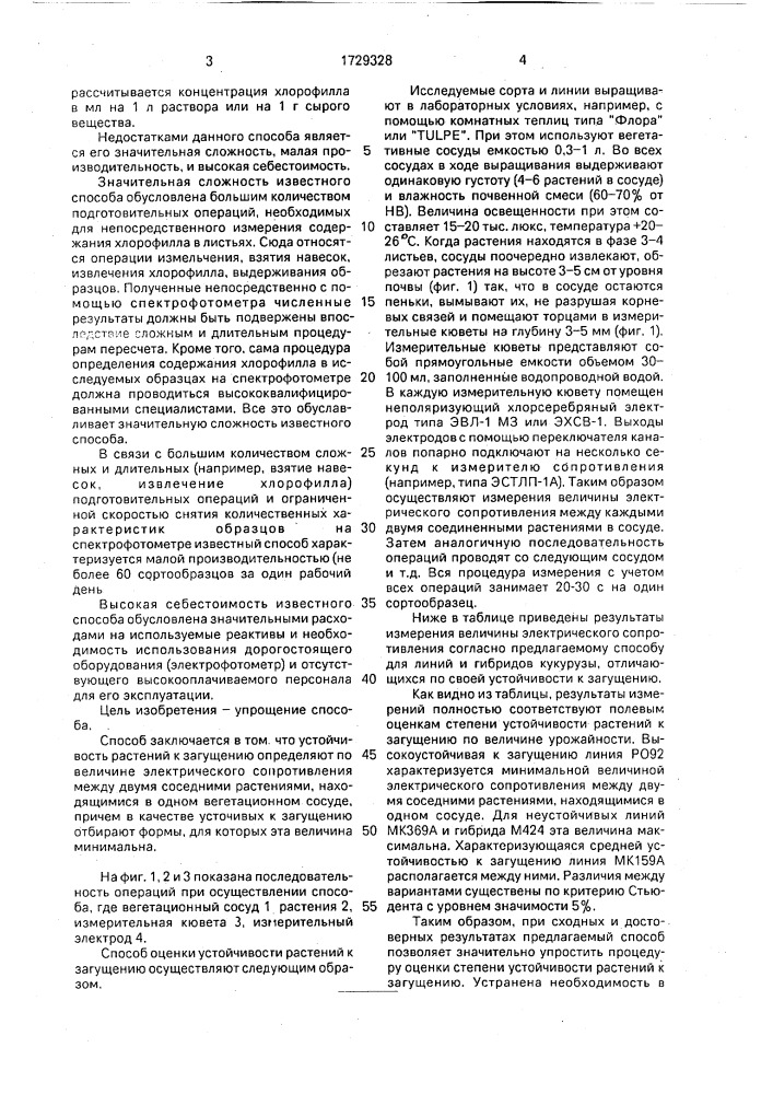 Способ оценки устойчивости форм кукурузы к загущению (патент 1729328)
