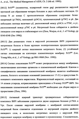 Иммуногенная композиция и способ разработки вакцины, основанной на участках матричного белка вич (патент 2403915)