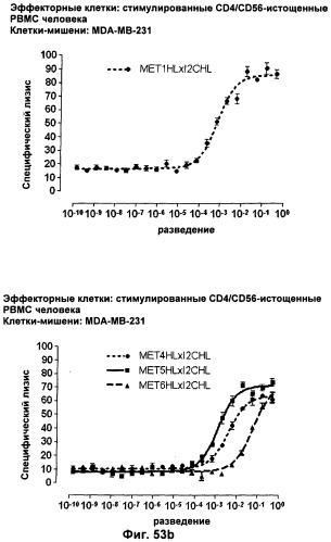 Pscaxcd3, cd19xcd3, c-metxcd3, эндосиалинxcd3, epcamxcd3, igf-1rxcd3 или fap-альфаxcd3 биспецифическое одноцепочечное антитело с межвидовой специфичностью (патент 2547600)