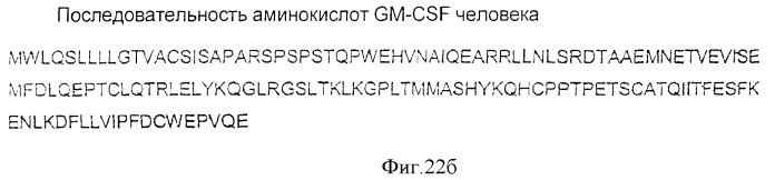 Способ усиления иммунного ответа млекопитающего на антиген (патент 2370537)