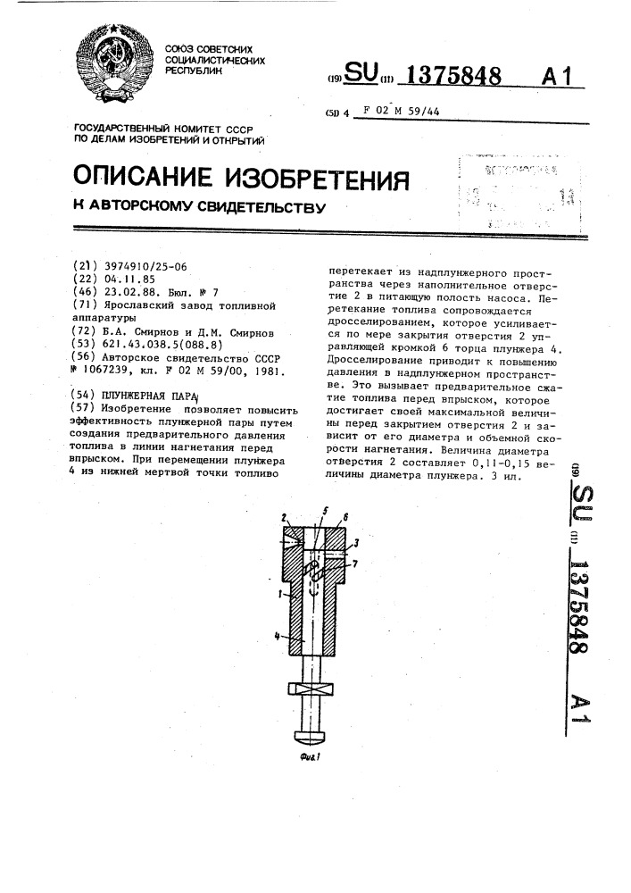 Плунжерная пара (патент 1375848)