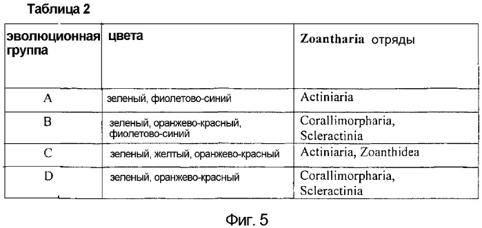 Новые хромофоры/флуорофоры и способы их применения (патент 2303600)