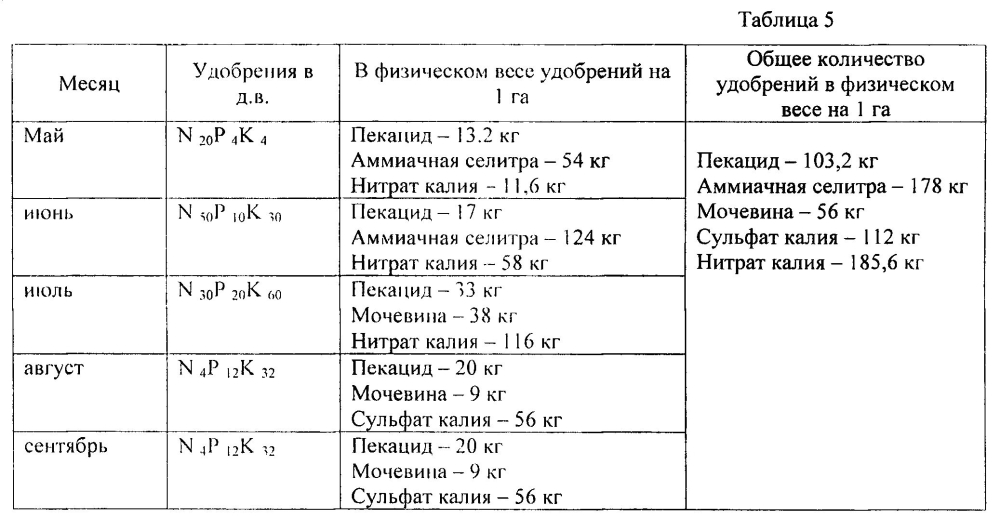 Способ возделывания интенсивного яблоневого сада (патент 2600132)