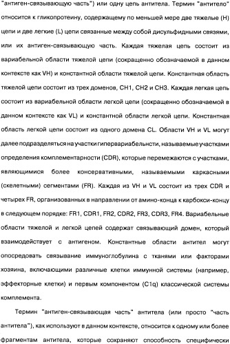 Человеческие моноклональные антитела к рецептору эпидермального фактора роста (egfr), способ их получения и их использование, гибридома, трансфектома, трансгенное животное, экспрессионный вектор (патент 2335507)