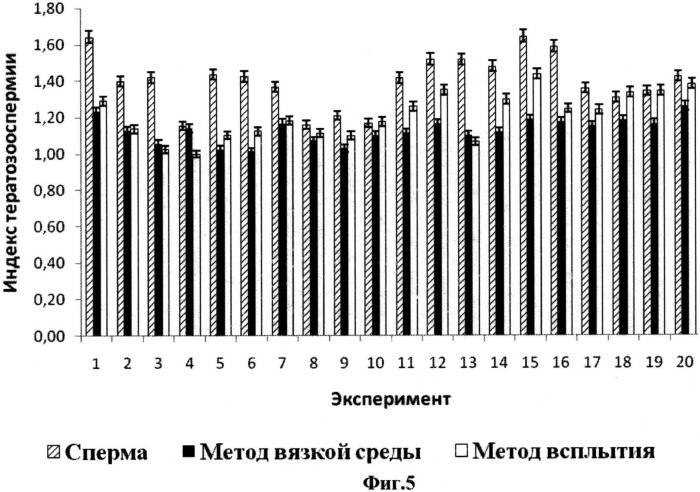 Способ селекции сперматозоидов для экстракорпорального оплодотворения (патент 2535359)