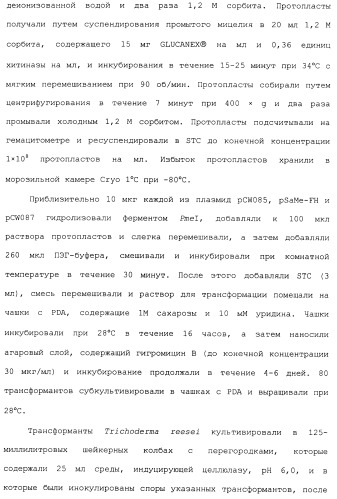 Клетка-хозяин trichoderma reesei для получения целлюлолитической белковой композиции, целлюлолитическая белковая композиция, способы ее получения и применения (патент 2494146)
