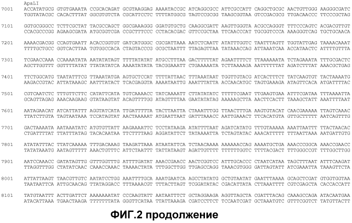 Получение функционализированной линейной днк-кассеты и опосредованная квантовыми точками/наночастицами доставка в растения (патент 2574785)