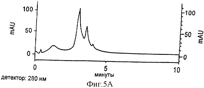 Способ и устройство для получения фикоэритрина с высокой оптической плотностью (патент 2315094)