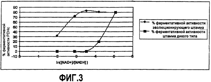 Бактерия escherichia coli для получения 1,2-пропандиола, способ ее получения, способ получения 1,2-пропандиола (патент 2407793)