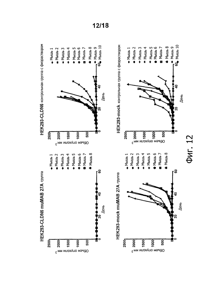 Лечение рака при помощи направленных на мишень антител in vivo (патент 2642305)
