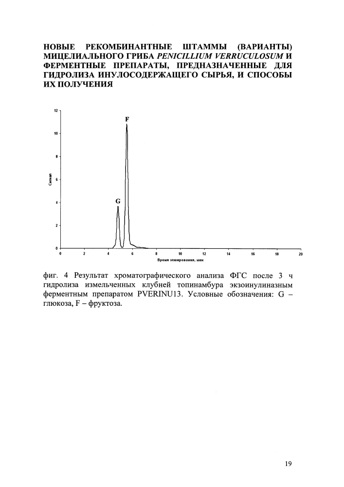 Рекомбинантный штамм мицелиального гриба penicillium verruculosum ( варианты) и способ получения ферментного препарата с его использованием (варианты) (патент 2646136)