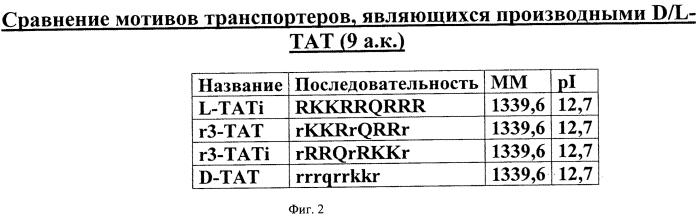 Новые конструкции транспортеров и молекулы-конъюгаты, являющиеся транспортерами карго-молекул (патент 2570632)