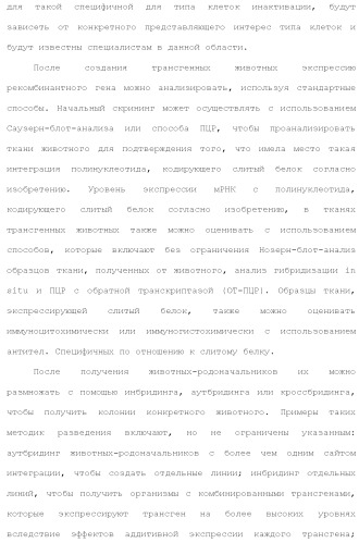 Слитые белки альбумина (патент 2369404)