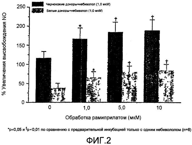 Композиции, содержащие небиволол (патент 2441653)