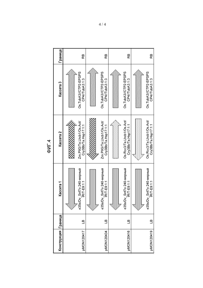 Объект кукурузы mon 87411 (патент 2648155)