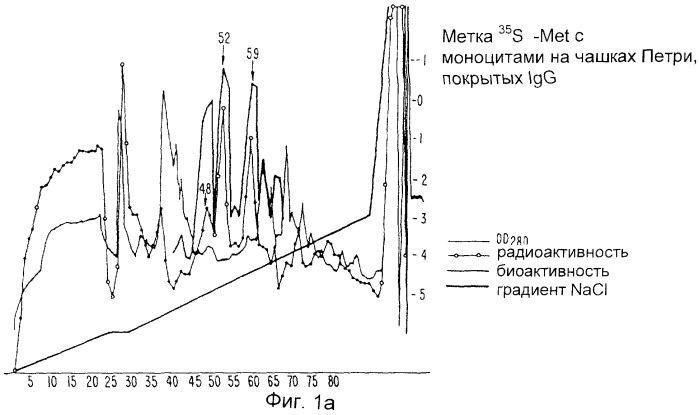 Ингибитор интерлейкина-1, способ его получения, молекула днк, кодирующая ингибитор интерлейкина-1 и его предшественник (патент 2286388)