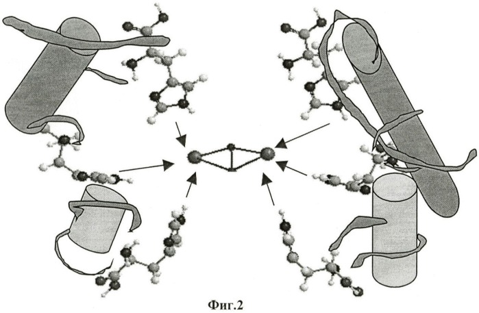 Диарилалканы в качестве эффективных ингибиторов двухъядерных ферментов (патент 2466981)