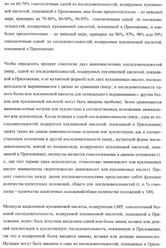 Молекулы нуклеиновых кислот, кодирующие wrinkled1-подобные полипептиды, и способы их применения в растениях (патент 2385347)