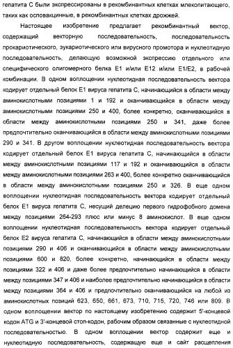 Очищенные оболочечные белки вируса гепатита с для диагностического и терапевтического применения (патент 2319505)